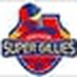 Chepauk Super Gillies
